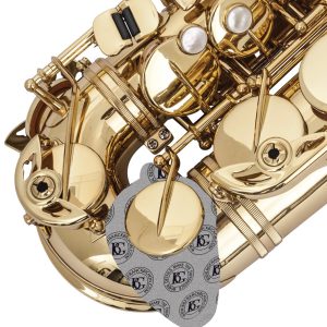 Secador de zapatillas BG – A65S